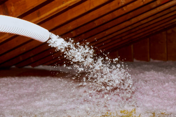 Best Insulation for New Construction  in Angola, NY