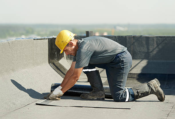 Best Insulation Replacement Services  in Angola, NY