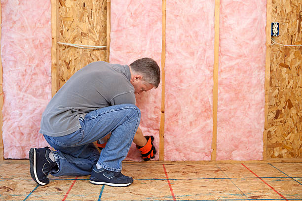 Best Soundproof Insulation Installation  in Angola, NY