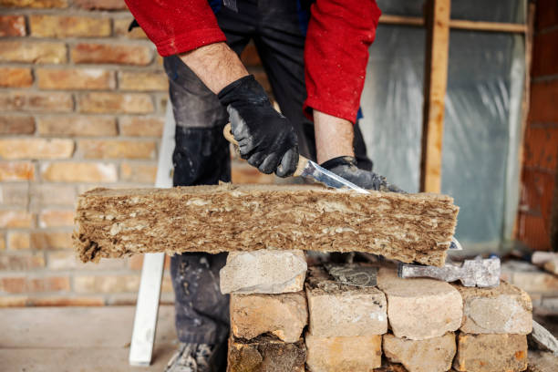 Best Insulation Removal  in Angola, NY
