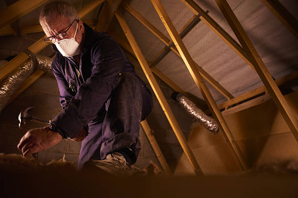 Best Crawl Space Insulation  in Angola, NY