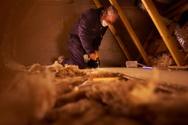 Best Attic Insulation Installation  in Angola, NY